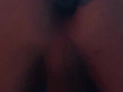 Amatéři, Americké, Anál, Stříkání spermatu, Ladyboy, Spodní prádlo, Masturbace, Shemale