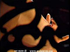 Kotě, Latinské, Milf žcbp