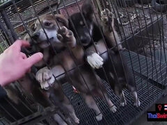 18 χρονον, Ερασιτέχνης, Μεγάλος πούτσος, Πίπα, Ζευγάρι, Η κοπέλα μου, Πρώτου προσώπου, Έφηβος