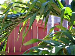 Julz Gotti Dora: Blowjob, Babe  Latina Porn