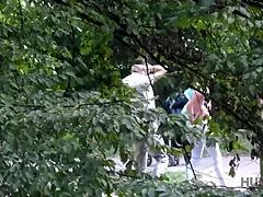 Rogonosec, Češka, Denar, Majhen, Prvoosebno snemanje seksa, V javnosti, Najstnice, Žena