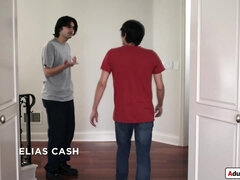 Boquete, Morena, Garganta funda, Hd, Baixinhoa, Pornstars, Tabu, Tetas