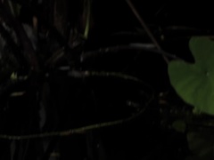 Amerikanisch, Aufs gesicht abspritzen, Lecken, Natürlichen titten, Orgasmus, Ablutschen, Jungendliche (18+), Titten