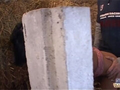 Πρωκτικό, Μεγάλα βυζιά, Μαύρος, Μελαχροινή, Φιλί, Αυνανισμός, Φυσικά βυζιά, Έφηβος