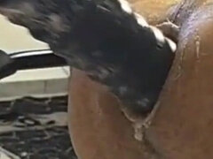 Amaterji, Par, Dildo, Ženska dominacija, Fisting, Hardcore