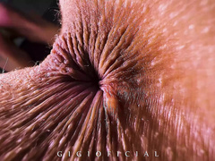 Amateur, Culo, Hd, Casero, Mamá, Ruso, Madrastra, Adolescente