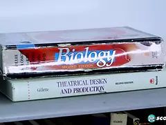 Анальный секс, Большой член, Блондинки, Минет, Семяизвержение, Сперма на лице, Хд, Молоденькие