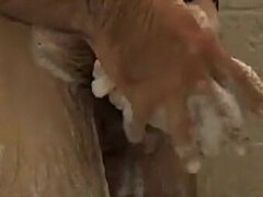 Amatör, Badrum, Solo