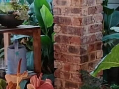 Fucking My Neighbours Wife Outdoor on the Patio