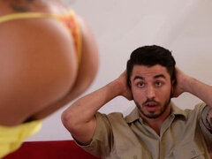 Popó, Tekintélyes didik, Fekete, Gesztenyebarna, Kutya póz, Kézimunka, Fajok közötti, Tini