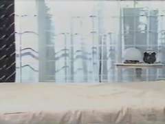 Ιάπωνας, Pornstars