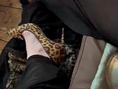 美人, イく瞬間, ヒール, 下着, 穴開きパンティ, ポルノスター, シーメール, 喫煙