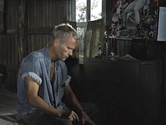 연예인, 오쟁이 진 남자, 소프트코어