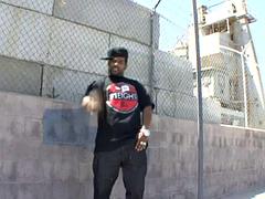 Veľké péro, Čierne, Ebenové