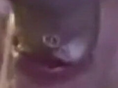 Amador amadora, Loiroa, Boquete, Gozar na boca, Alemãoã, Correia