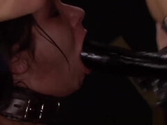 Sucer une bite, Bondage, Plantureuse, Classique, Hd, Lesbienne, Chatte, Strapon