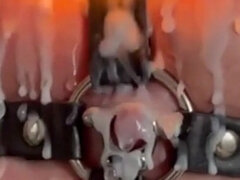 Bdsm, Blondin, Fetisch, Milf, Bröstvårtor, Piercing, Tuttar