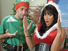 Большая жопа, Большой член, Большие сиськи, Минет, Брюнетки, Собачьи, Милф, Сиськи