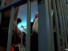 아기, 에로틱, Hd, 나체, 젖꼭지, 흥청망청 놀기, 조그마한, 보지