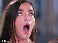 Tekintélyes didik, Cumizás, Kőkemény, Fajok közötti, Nyalás, Nuni, Lovaglás, Hármas