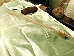 Bdsm, Bisexuální, Kuřba, Femdom, Fetiš, Fisting, Gay, Strapon