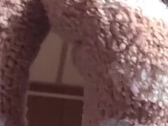 Brunetta, Europea, Piede fetish, Calzini