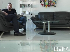 Amerikaans, Hondjeshouding, Europees, Kwartet, Frans, Hakken, Geschoren, Tatoeage