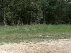 Arcra élvezés, Német, Szabadban