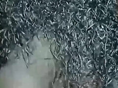 18 anos, Amador amadora, Casal, Punheta, Indianoa, Adolescente