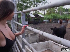 In den arsch, Grosser arsch, Grosse titten, Braunhaarige, Hd, Im freien, Flotter dreier