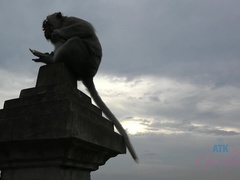 Παραλία, Gaping, Πισίνα, Πρώτου προσώπου, Μουνί, Ξυρισμένη, Πείραγμα, Βυζιά