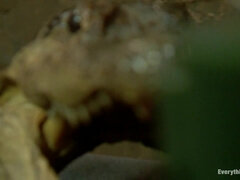 Anale, Bella, Tettona, Classico, Gola profonda, Fare fisting, Lesbica, Naturale