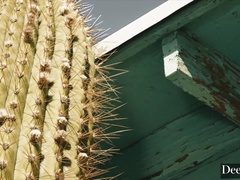 Américain, Gros seins, Sucer une bite, Hard, Léchez, Nénés