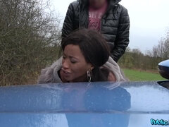 Iso kulli, Tumma, Eurooppalainen, Rankka, Sekarotuinen, Ulkona, Julkinen