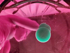 A View From the Bottom