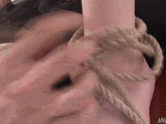 Azijci, Rit, Fafanje, Hd, Vstavitev, Milf, Muco, Igrače