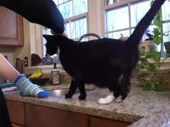 Zadek, Blondýna, Dávení penisem, Péro, Ženský, Hd, Bradavky, Hračky