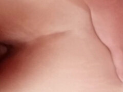 Enthousiasteling, Grote kont, Bruinharig, Latijnse vrouw