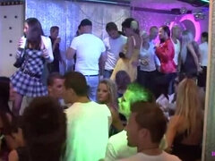 Czech summer holiday party