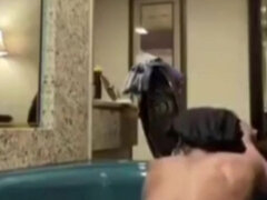 18 jahre, Amerikanisch, Schwarz, Blasen, Paar, Pool, Reiten, Jungendliche (18+)