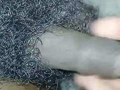 Amateur, Peludo, Indio