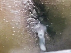 Ms300 Sarazia Exotic - Alien Ass Milk