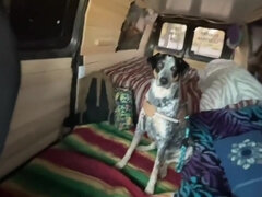 Sex In The Van At A Public Park 14 Min