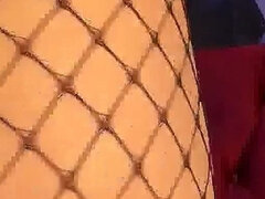 Paradise for Foot Fetishists and Fishnets