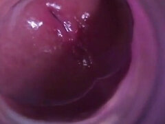 Closeup view from inside my fake pussy while I fuck it slow and passionate until I shoot a big load