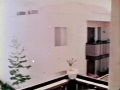 The Watcher United States 1973