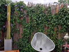 Anal, Bebê, Peitos grandes, Boquete, Morena, Cavalgar, Adolescente, Tetas