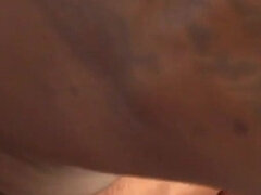 Tekintélyes didik, Cumizás, Gesztenyebarna, Szájba élvezés, Fajok közötti, Hármas