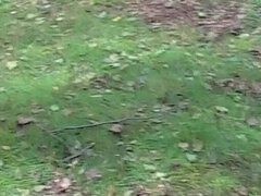 아시안, 오랄섹스, 영국인, 흑갈색 머리, 동시 사정, 귀여운, 하드코어, 야외의