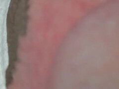 Amador amadora, Norte americano a, Peludoa, Solo chão